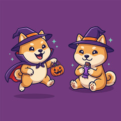 Fototapeta premium Two Cute Shiba Inu Dogs in Halloween Witch Costumes