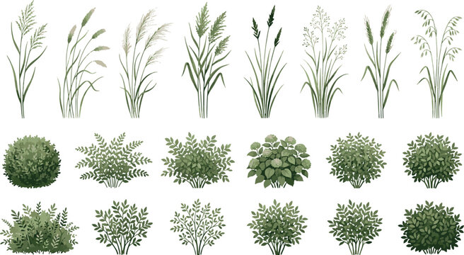 Green plants bushes and wild field grasses isolated on white background set of botanical elements vector illustration