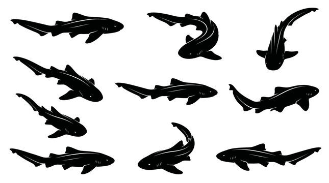 Black and white vector silhouette set of Leopard Shark