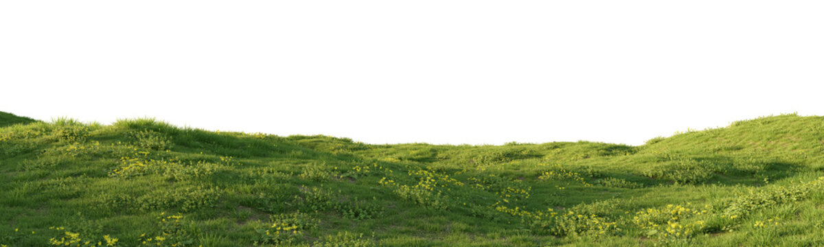 Rolling grassy meadow terrain with wildflowers isolated on transparent background for landscape design asset. 3D rendering.