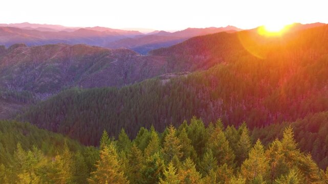 Drone Footage of Mountain Wilderness in Tillamook Oregon