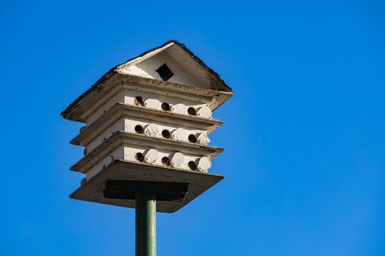 White wooden birdhouse resembling a multi-level condo, mounted on a green pole on clear blue sky background. Birdhouse offers ideal nesting spaces for small birds. 