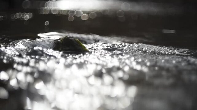 Creek water gently burble around stone covered with some moss, sunlight glittering on water surface and create nice bokeh in background