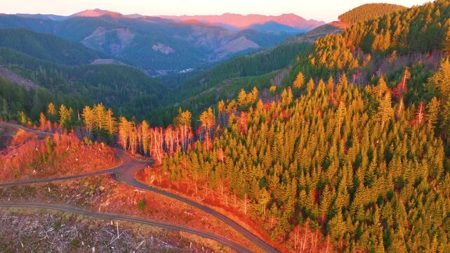 Drone View of Sunset Across Oregon Evergreen Wilderness
