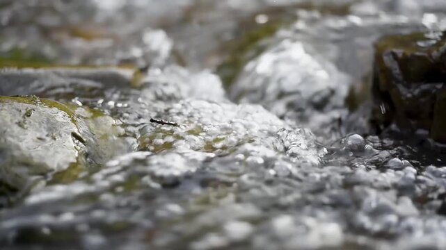 Twig stuck in stream oscillates in bubbly stream that fast flow making purl sound, detail from mountain creek