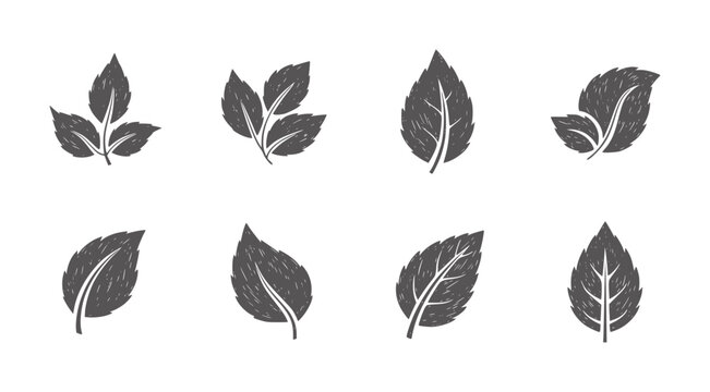 Collection of eight dark grey leaf white leaves nature plant foliage