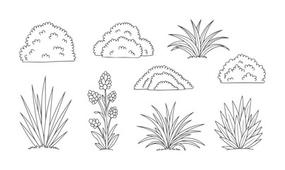 Collection of hand drawn line plants and bushes grass flower botanical © Rakibul V