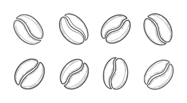 Eight hand drawn coffee beans in a grid pattern seed food drink