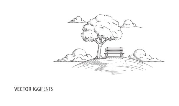 Of a lone tree and park bench a grassy hill with clouds