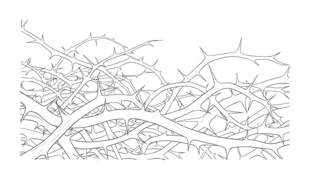 Tangled Thorny Branches Abstract Line Pattern black danger