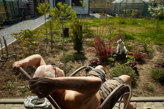 Man relaxes in garden while cat watches nearby during sunny afternoon