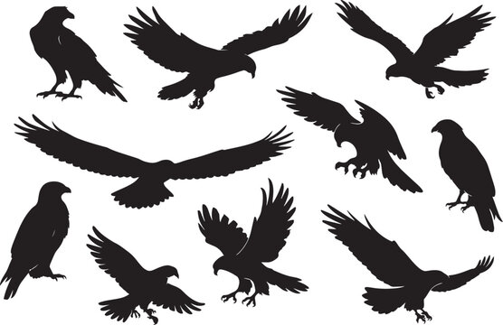 Eagle silhouette vector set, flying hawk and falcon bird icons, black predatory birds collection, soaring eagle wing shapes for logos