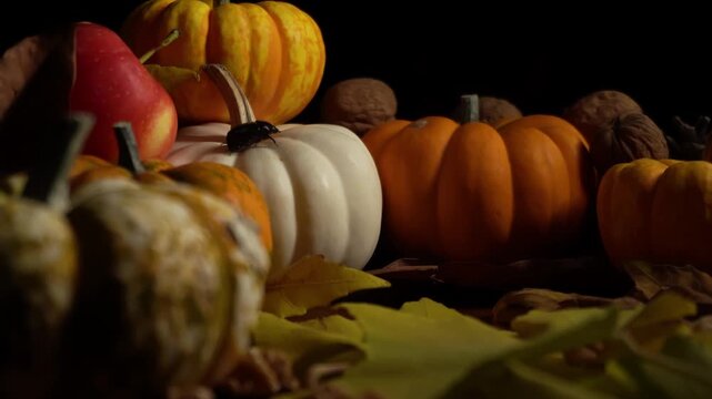 Seasonal pumpkin arrangement captured. Diagonal perspective showcasing autumn pumpkins and scattered foliage. Low lighting emphasizes natural elements in vibrant seasonal pumpkin collection