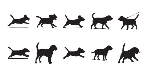 Fototapeta premium Walking beagle dog silhouettes. Diverse poses of beagles including walking on a leash and playing. Ideal for pet walking services, vet clinics, and animal themed projects.