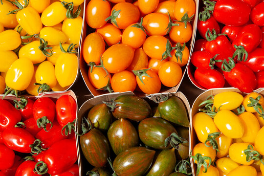 fresh tomatoes seasonal vegetables of various types and colors