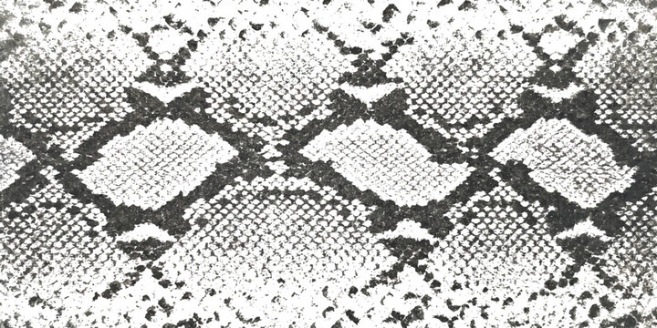 Black and white snake skin pattern texture with repeating geometric scales for fashion design and luxury background