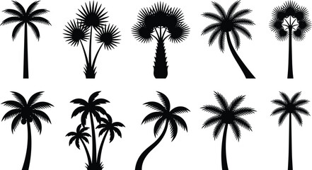 Obraz premium Diverse Collection of Tropical Palm Tree Silhouettes Including Fan Palms and Coconut Varieties Isolated on a White Background