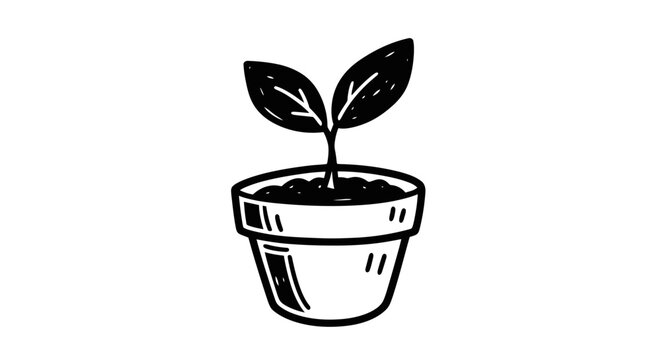 Hand-drawn plant seedling in a pot, simple black and white doodle art.
