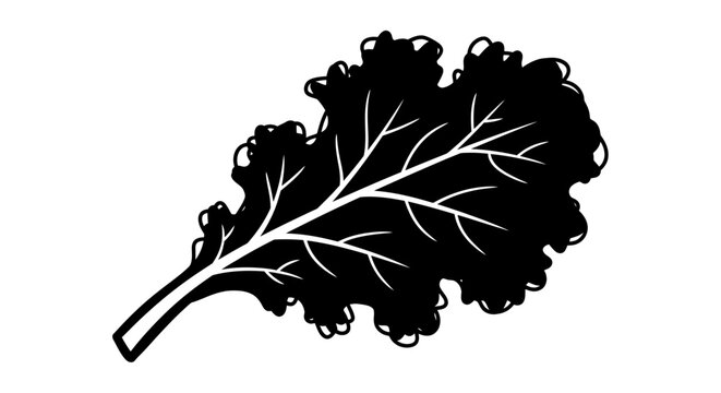 Black and white silhouette of a kale leaf with detailed veins on white background