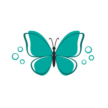 Butterfly silhouette teal colored graphic design