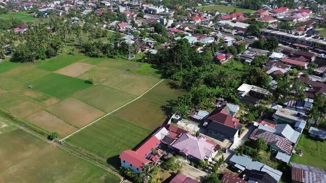 Aerial view of Terraced Green Rice Field in East Aceh, Sumatera. Aerial view of verdant rice terraces next to village nestled among trees on sunny morning
