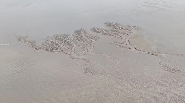 Aerial drone view captures the world-famous Qiantang River tidal bore sweeping over complex natural "tidal trees" patterns formed on the riverbed mudflats in Zhejiang, China.