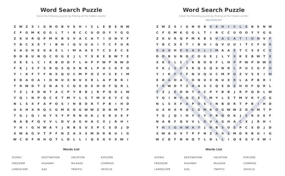 Challenging Road Trip Word Search for Adults - N9J