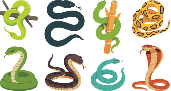 Cartoon Snake and Poisonous Cobra Character Vector Set with Coiled Serpents Pythons and Vipers for Wildlife Nature and Education Graphic Designs