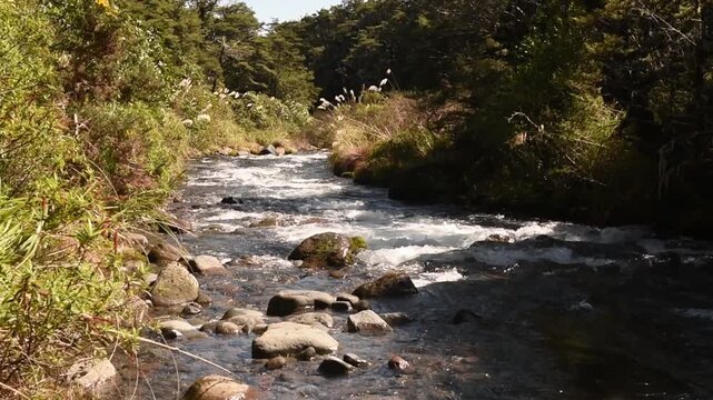 Fast running Whakapapanui Stream on the slopes of Mount Ruapehu in Tongariro National Park, New Zealand.