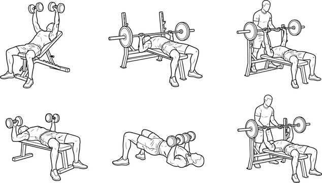 Chest workout vector icon set with barbell bench press and dumbbell flyes gym exercises