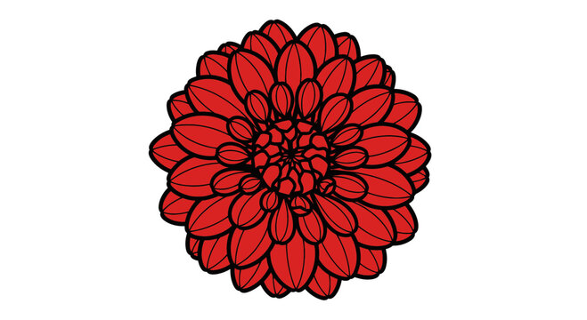 Red Flower Illustration Close Up.