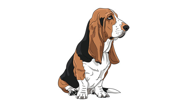 Sad-looking basset hound dog with long ears and brown white and black fur sitting quietly and looking up at something.