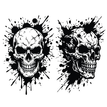 Two Black and White Human Skulls.