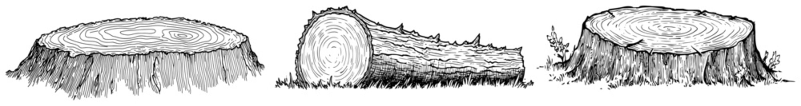 Tree stumps and wooden log set in hand drawn ink sketch style