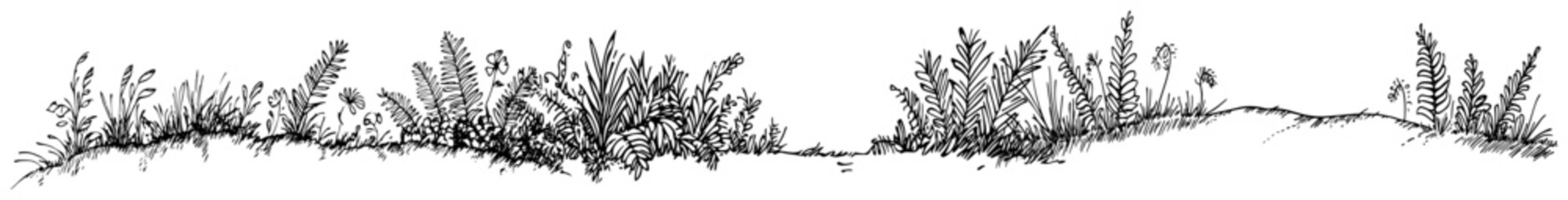 Wildflower and fern border with grass in hand drawn ink sketch style © Kaz
