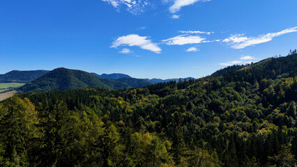 Fototapeta premium Aerial view of lush green forest with mountains creating a serene nature setting, Sitka, Alaska, USA.
