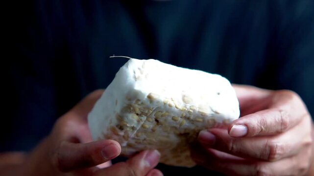 Holding tempe (fermented soybean). Tempe usually wrapped in banana leaves. Indonesian vegan food.
