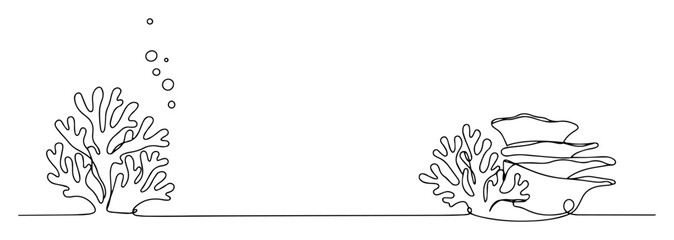 coral and seashell line art illustration © Wieslaw