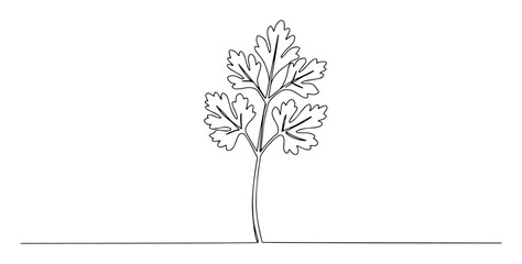 Obraz premium parsley leaf line art illustration