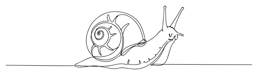 land snail line art illustration © Wieslaw