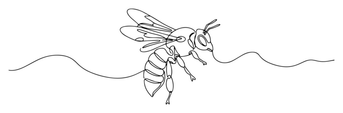honey bee flying line art drawing