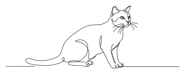 vector line drawing of a sitting cat in profile © Wieslaw