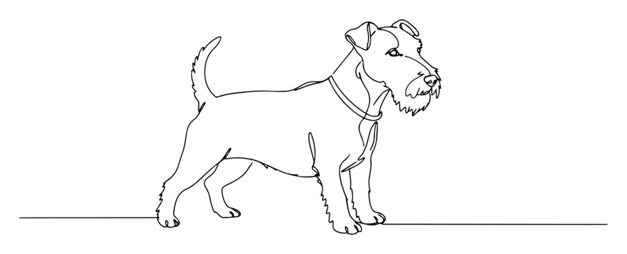 vector line drawing of a standing terrier dog