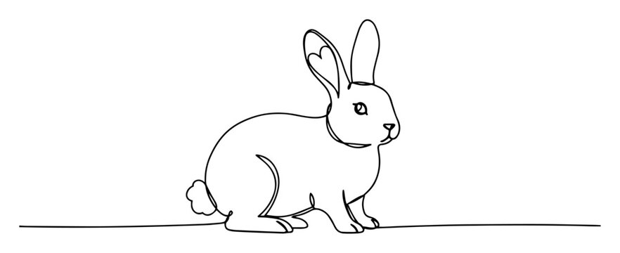 rabbit monoline vector thin line