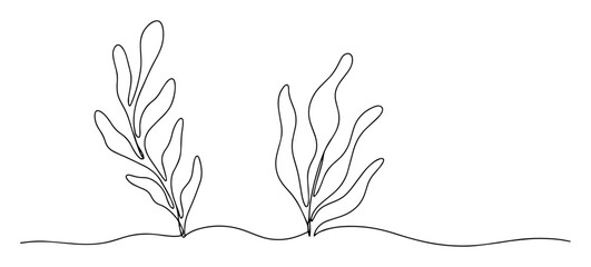 seaweed simple sketch monoline © Wieslaw