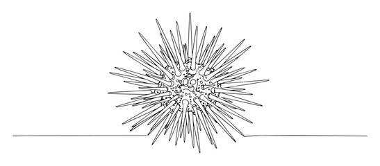 spiny sea urchin simple sketch monoline © Wieslaw