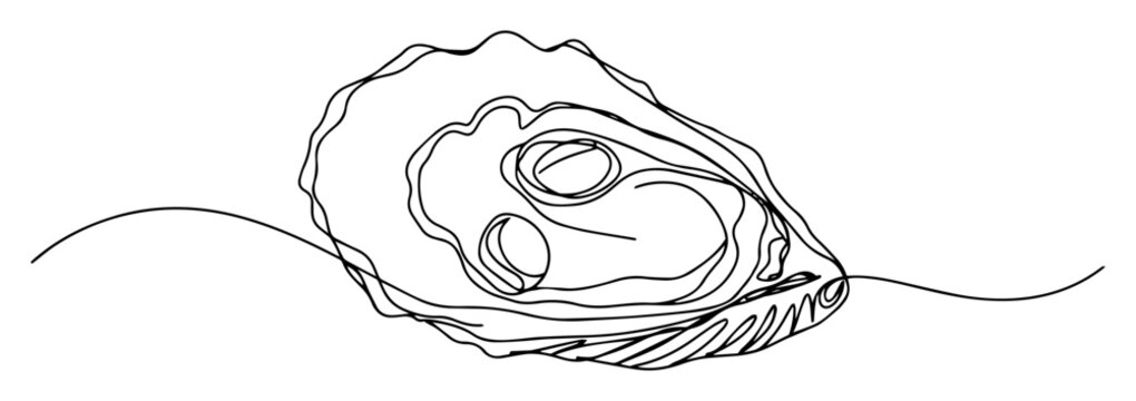 oyster shell simple sketch monoline