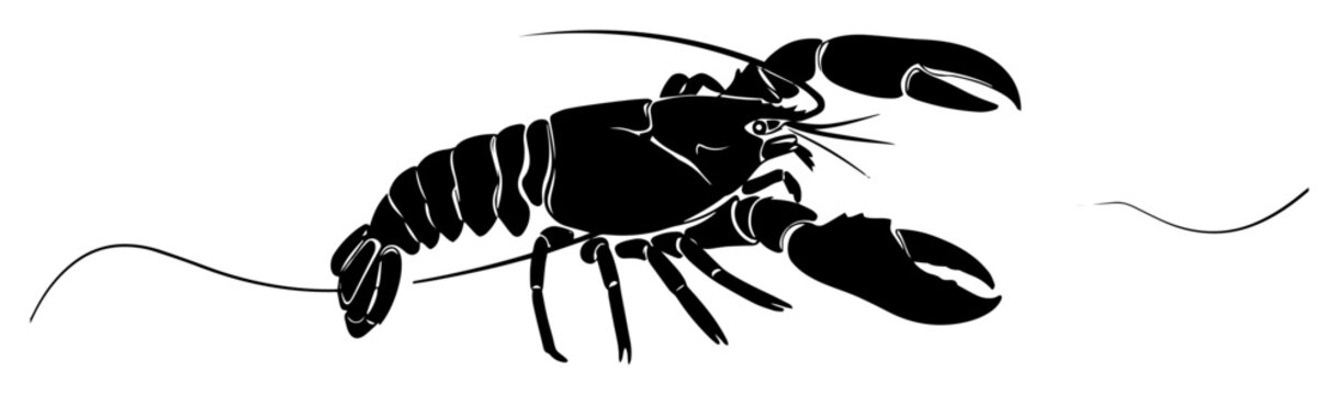 crayfish simple sketch monoline