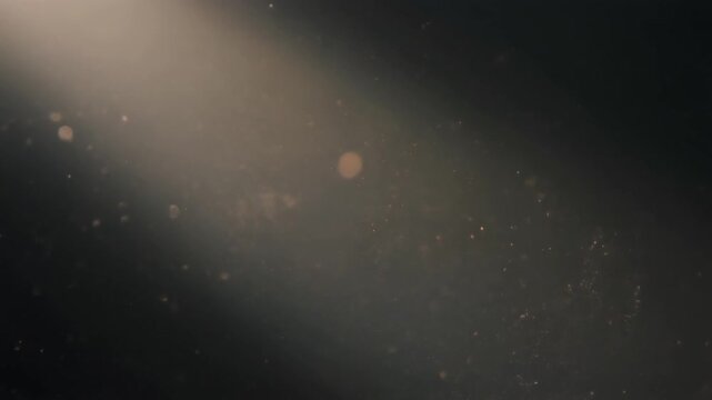Atmospheric dust particles floating slowly inside a warm diagonal ray of sunlight against a deep dark background. Cinematic lighting effect featuring glowing bokeh motes for compositing.