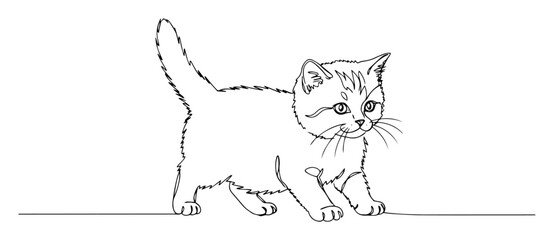 kitten walking oneline vector © Wieslaw